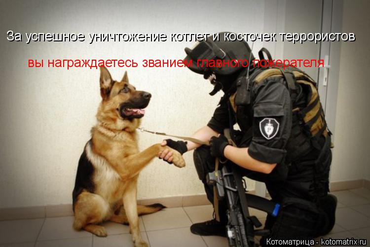За успешное уничтожение котлет и косточек террористов За успешное уничтожение котлет и косточек терро... Котоматрица: За успешное уничтожение котлет и косточек террористов За успешное уничтожение котлет и косточек террористов вы награждаетесь званием гла