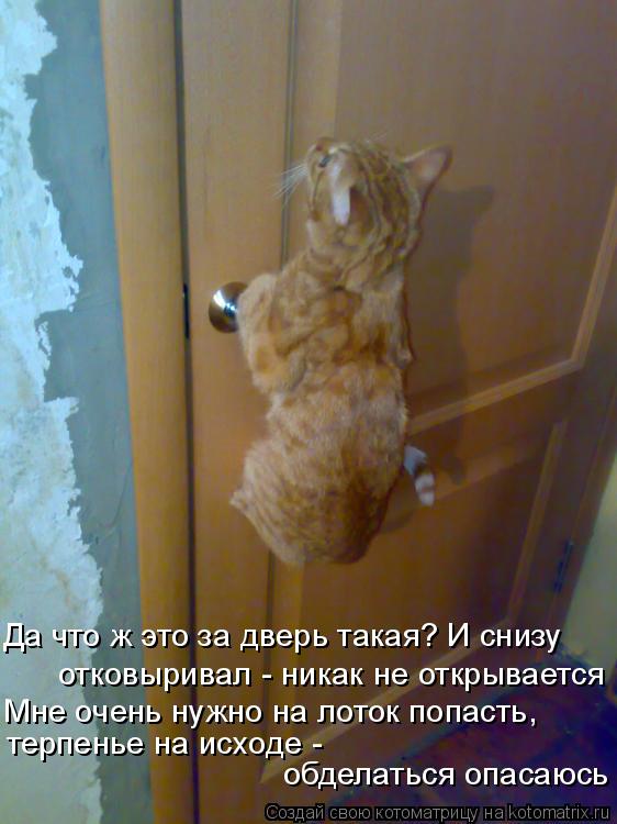 Да что ж это за дверь такая? И снизу Мне очень нужно на лоток попасть, терпенье на исходе - обделатьс... Котоматрица: Да что ж это за дверь такая? И снизу Мне очень нужно на лоток попасть, терпенье на исходе - обделаться опасаюсь отковыривал - никак не открыва