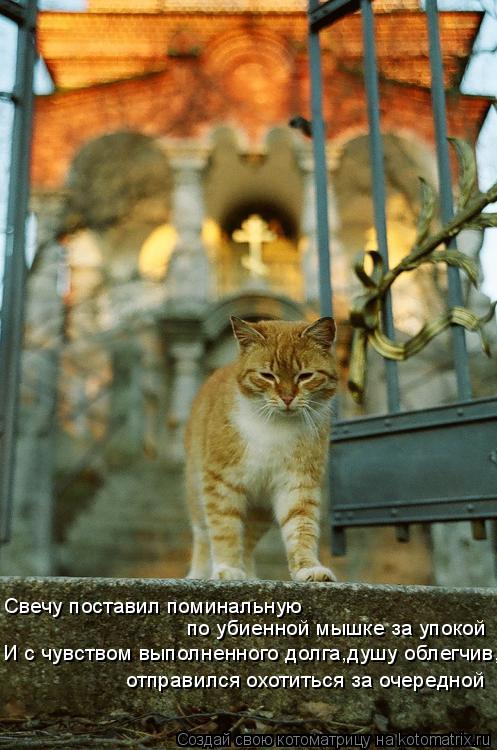 Свечу поставил поминальную по убиенной мышке за упокой И с чувством выполненного долга,душу облегчив,... Котоматрица: Свечу поставил поминальную по убиенной мышке за упокой И с чувством выполненного долга,душу облегчив, отправился охотиться за очередной