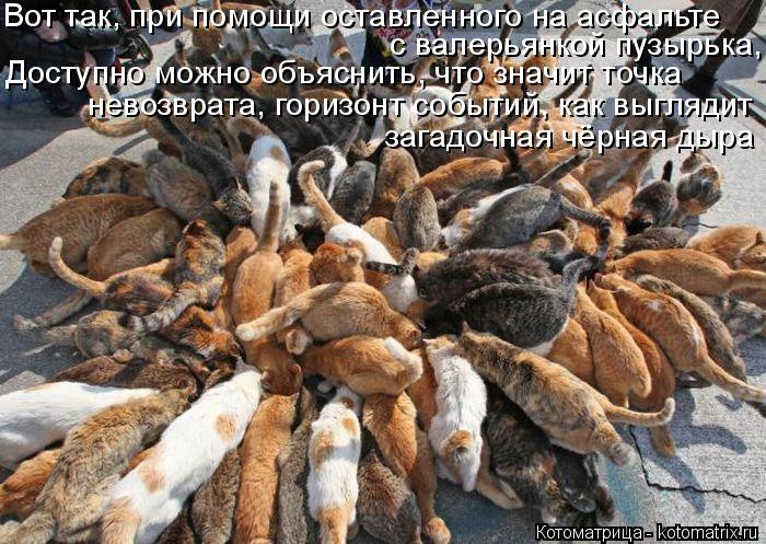 Вот так, при помощи оставленного на асфальте с валерьянкой пузырька, Доступно можно объяснить, что зн... Котоматрица: Вот так, при помощи оставленного на асфальте с валерьянкой пузырька, Доступно можно объяснить, что значит точка невозврата, горизонт событ