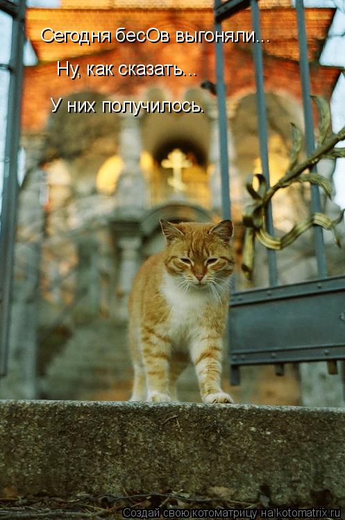 Сегодня бесОв выгоняли... Ну, как сказать... У них получилось.... Котоматрица: Сегодня бесОв выгоняли... Ну, как сказать... У них получилось.