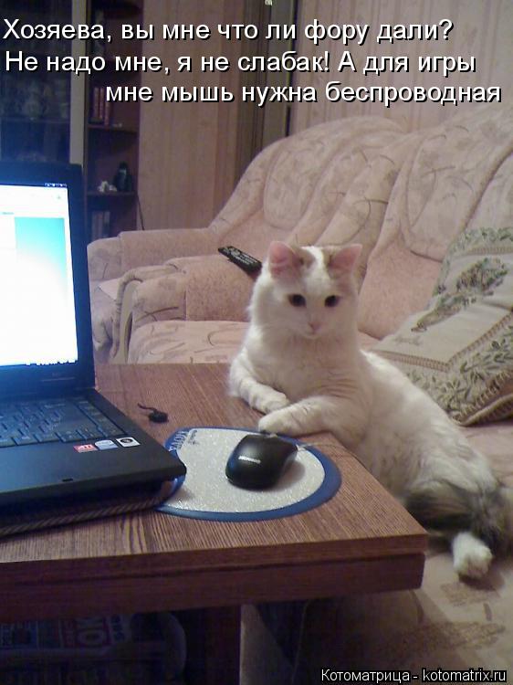 Хозяева, вы мне что ли фору дали? Не надо мне, я не слабак! А для игры мне мышь нужна беспроводная... Котоматрица: Хозяева, вы мне что ли фору дали? Не надо мне, я не слабак! А для игры мне мышь нужна беспроводная