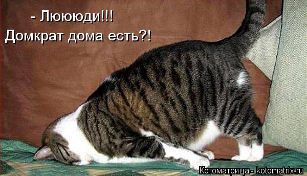 - Люююди!!! Домкрат дома есть?!... Котоматрица: - Люююди!!! Домкрат дома есть?!
