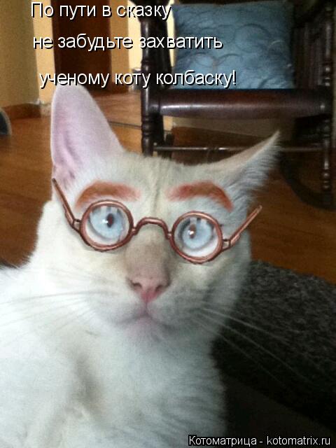 По пути в сказку не забудьте захватить ученому коту колбаску!... Котоматрица: По пути в сказку не забудьте захватить ученому коту колбаску!