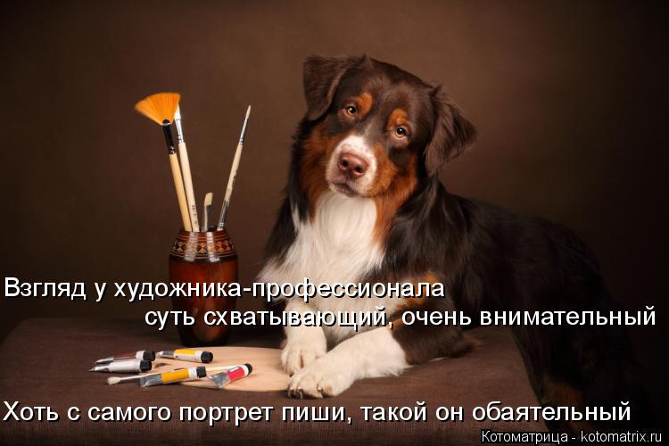 Взгляд у художника-профессионала суть схватывающий, очень внимательный Хоть с самого портрет пиши, т... Котоматрица: Взгляд у художника-профессионала суть схватывающий, очень внимательный Хоть с самого портрет пиши, такой он обаятельный