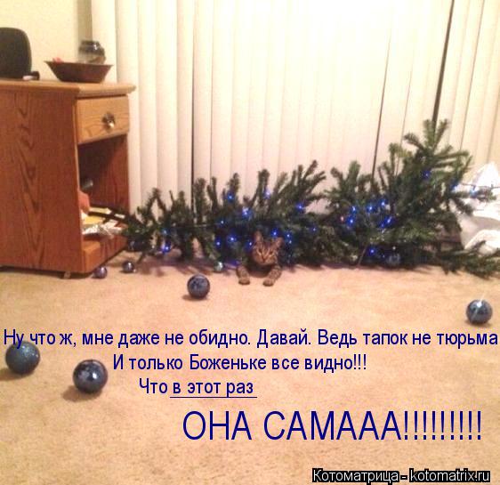 Ну что ж, мне даже не обидно. Давай. Ведь тапок не тюрьма… И только Боженьке все видно!!! ОНА САМААА!... Котоматрица: Ну что ж, мне даже не обидно. Давай. Ведь тапок не тюрьма… И только Боженьке все видно!!! ОНА САМААА!!!!!!!!! Что в этот раз _________