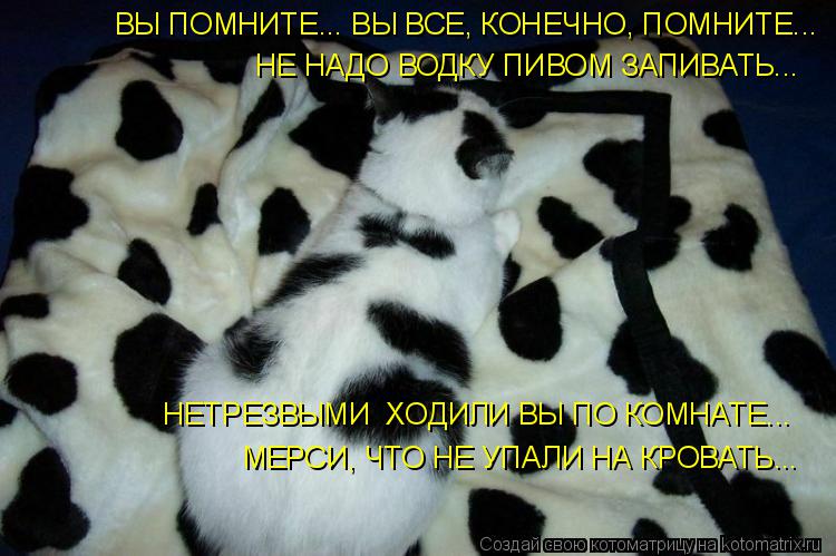 ВЫ ПОМНИТЕ... ВЫ ВСЕ, КОНЕЧНО, ПОМНИТЕ... НЕТРЕЗВЫМИ ХОДИЛИ ВЫ ПО КОМНАТЕ... МЕРСИ, ЧТО НЕ УПАЛИ НА ... Котоматрица: ВЫ ПОМНИТЕ... ВЫ ВСЕ, КОНЕЧНО, ПОМНИТЕ... НЕТРЕЗВЫМИ ХОДИЛИ ВЫ ПО КОМНАТЕ... МЕРСИ, ЧТО НЕ УПАЛИ НА КРОВАТЬ... НЕ НАДО ВОДКУ ПИВОМ ЗАПИВАТЬ...
