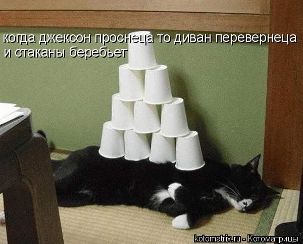 когда джексон проснеца то диван перевернеца и стаканы беребьет... Котоматрица: когда джексон проснеца то диван перевернеца и стаканы беребьет