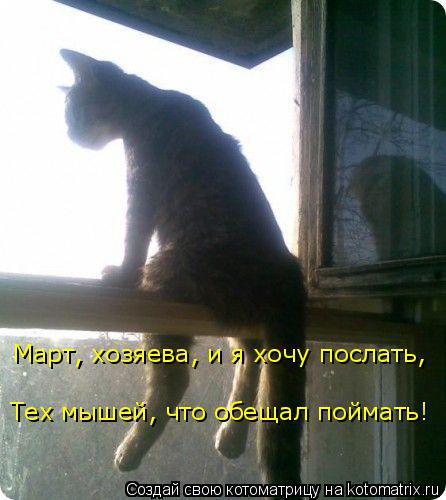 Тех мышей, что обещал поймать! Март, хозяева, и я хочу послать,... Котоматрица: Тех мышей, что обещал поймать! Март, хозяева, и я хочу послать,