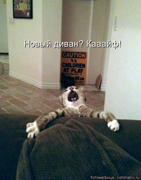 Новый диван? Кааайф!... Котоматрица: Новый диван? Кааайф!