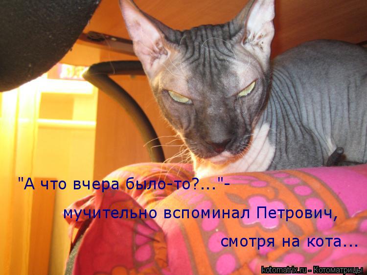 "А что вчера было-то?..."- мучительно вспоминал Петрович, смотря на кота...... Котоматрица: "А что вчера было-то?..."- мучительно вспоминал Петрович, смотря на кота...