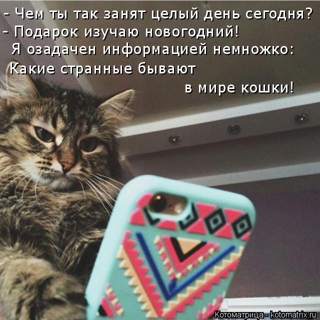 - Чем ты так занят целый день сегодня? - Подарок изучаю новогодний! Я озадачен информацией немножко: ... Котоматрица: - Чем ты так занят целый день сегодня? - Подарок изучаю новогодний! Я озадачен информацией немножко: Какие странные бывают в мире кошки!