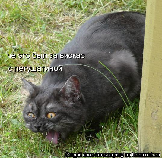 че это был за вискас с петушатиной... Котоматрица: че это был за вискас с петушатиной