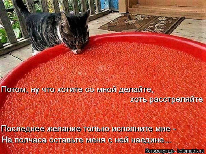 Потом, ну что хотите со мной делайте, хоть расстреляйте Последнее желание только исполните мне - На п... Котоматрица: Потом, ну что хотите со мной делайте, хоть расстреляйте Последнее желание только исполните мне - На полчаса оставьте меня с ней наедине...