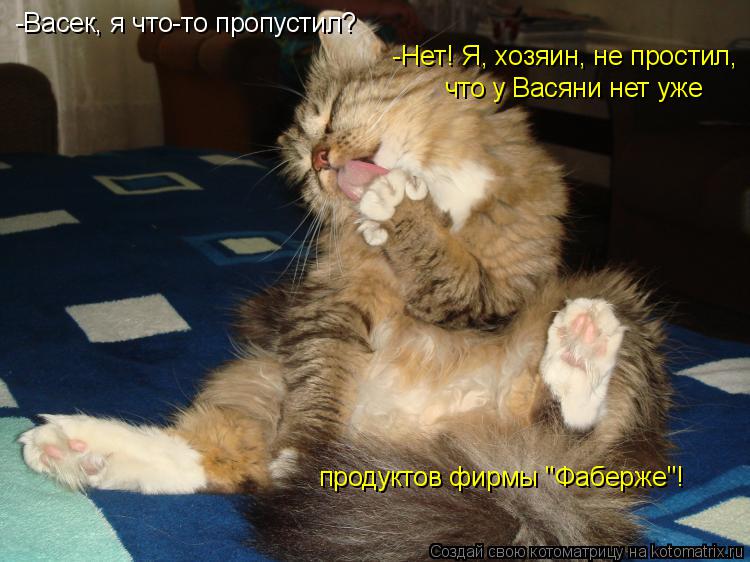 что у Васяни нет уже продуктов фирмы "Фаберже"! -Васек, я что-то пропустил? -Нет! Я, хозяин, не прос... Котоматрица: что у Васяни нет уже продуктов фирмы "Фаберже"! -Васек, я что-то пропустил? -Нет! Я, хозяин, не простил,