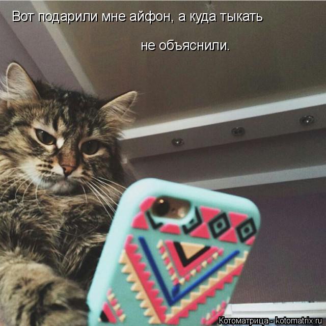 Вот подарили мне айфон, а куда тыкать не объяснили.... Котоматрица: Вот подарили мне айфон, а куда тыкать не объяснили.