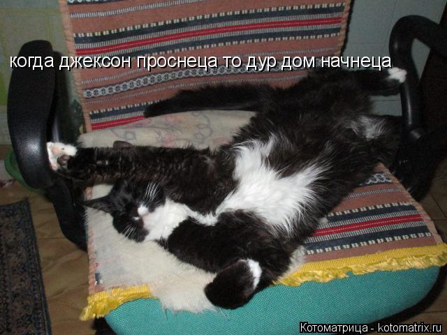 когда джексон проснеца то дур дом начнеца... Котоматрица: когда джексон проснеца то дур дом начнеца