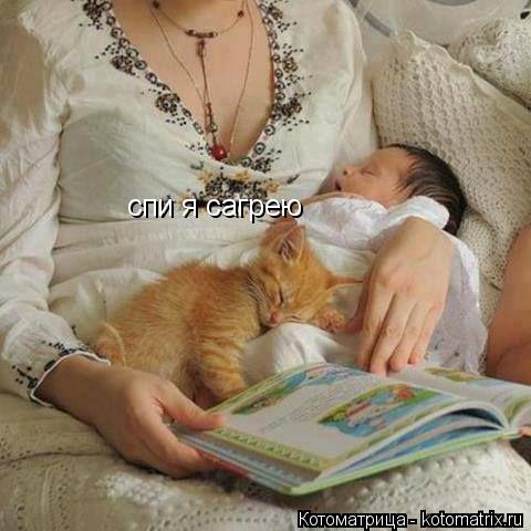 спи я сагрею... Котоматрица: спи я сагрею