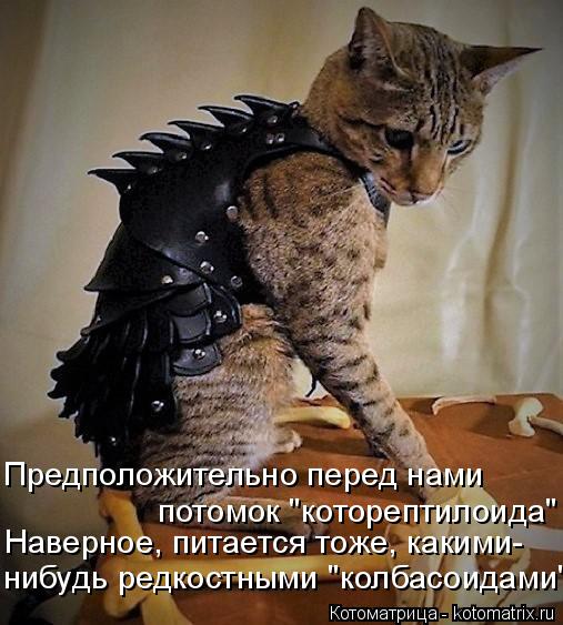 Котоматрица: Предположительно перед нами потомок "которептилоида" Наверное, питается тоже, какими- нибудь редкостными "колбасоидами"
