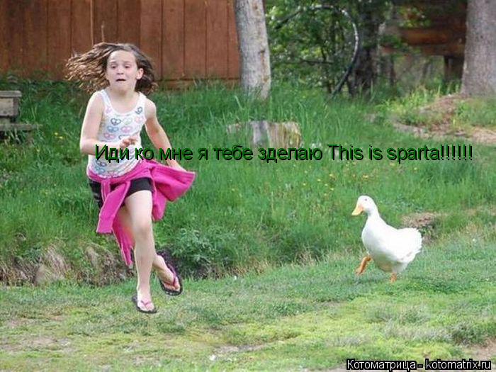 Иди ко мне я тебе зделаю This is sparta!!!!!! Иди ко мне я тебе зделаю This is sparta!!!!!!... Котоматрица: Иди ко мне я тебе зделаю This is sparta!!!!!! Иди ко мне я тебе зделаю This is sparta!!!!!!