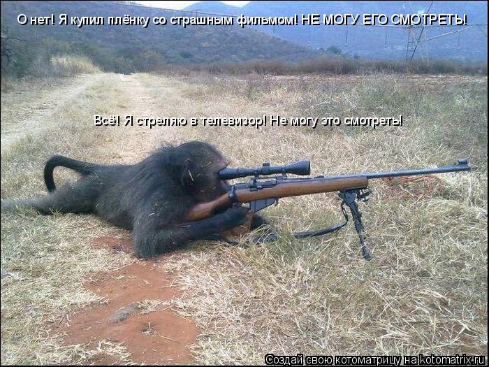 Котоматрица: О нет! Я купил плёнку со страшным фильмом! НЕ МОГУ ЕГО СМОТРЕТЬ! Всё! Я стреляю в телевизор! Не могу это смотреть!