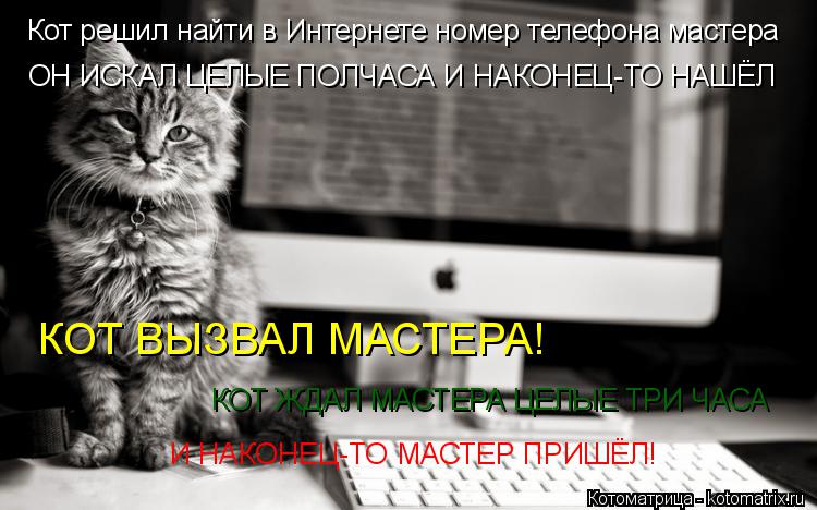 Котоматрица: Кот решил найти в Интернете номер телефона мастера ОН ИСКАЛ ЦЕЛЫЕ ПОЛЧАСА И НАКОНЕЦ-ТО НАШЁЛ КОТ ВЫЗВАЛ МАСТЕРА! КОТ ЖДАЛ МАСТЕРА ЦЕЛЫЕ ТРИ 