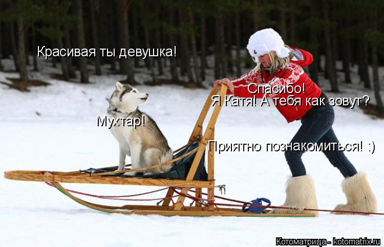 Котоматрица: Красивая ты девушка! Спасибо! Я Катя! А тебя как зовут? Мухтар! Приятно познакомиться! :)