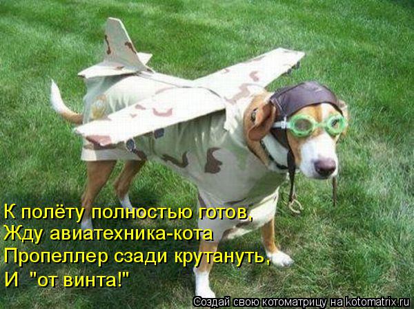 К полёту полностью готов, Жду авиатехника-кота Пропеллер сзади крутануть, И "от винта!"... Котоматрица: К полёту полностью готов, Жду авиатехника-кота Пропеллер сзади крутануть, И "от винта!"