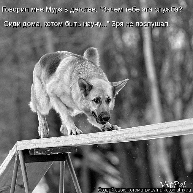 Говорил мне Мурз в детстве: "Зачем тебе эта служба? Сиди дома, котом быть научу..." Зря не послушал.... Котоматрица: Говорил мне Мурз в детстве: "Зачем тебе эта служба? Сиди дома, котом быть научу..." Зря не послушал.