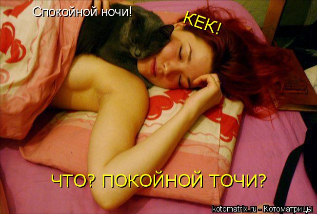 Спокойной ночи! ЧТО? ПОКОЙНОЙ ТОЧИ? КЕК!... Котоматрица: Спокойной ночи! ЧТО? ПОКОЙНОЙ ТОЧИ? КЕК!