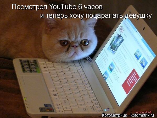 Котоматрица: Посмотрел YouTube 6 часов и теперь хочу поцарапать девушку