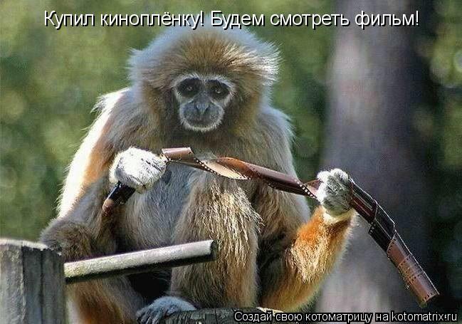Котоматрица: Купил киноплёнку! Будем смотреть фильм!