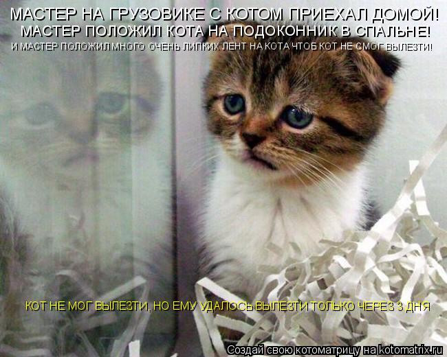 Котоматрица: МАСТЕР НА ГРУЗОВИКЕ С КОТОМ ПРИЕХАЛ ДОМОЙ! МАСТЕР ПОЛОЖИЛ КОТА НА ПОДОКОННИК В СПАЛЬНЕ! И МАСТЕР ПОЛОЖИЛ МНОГО ОЧЕНЬ ЛИПКИХ ЛЕНТ НА КОТА ЧТО