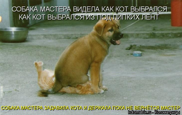 Котоматрица: СОБАКА МАСТЕРА ВИДЕЛА КАК КОТ ВЫБРАЛСЯ КАК КОТ ВЫБРАЛСЯ ИЗ ПОД ЛИПКИХ ЛЕНТ СОБАКА МАСТЕРА ЗАДАВИЛА КОТА И ДЕРЖАЛА ПОКА НЕ ВЕРНЁТСЯ МАСТЕР