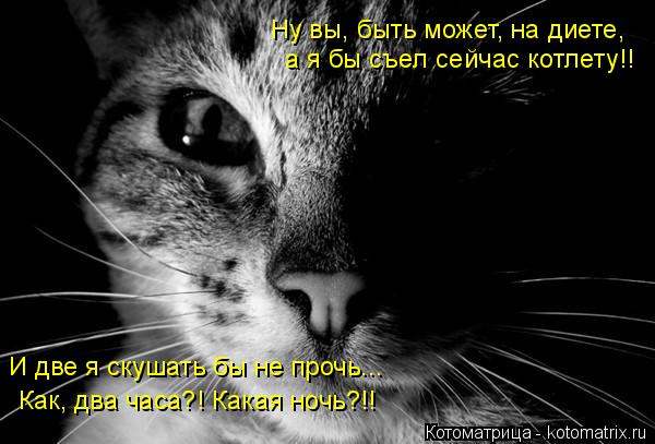 Котоматрица: Ну вы, быть может, на диете, а я бы съел сейчас котлету!! И две я скушать бы не прочь... Как, два часа?! Какая ночь?!!