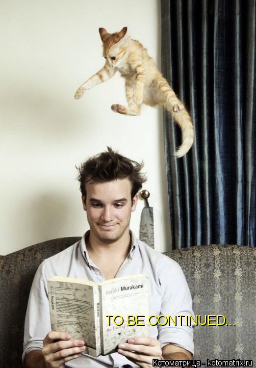 TO BE CONTINUED...... Котоматрица: TO BE CONTINUED...