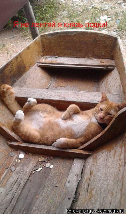 Я не лентяй я князь лодки!... Котоматрица: Я не лентяй я князь лодки!