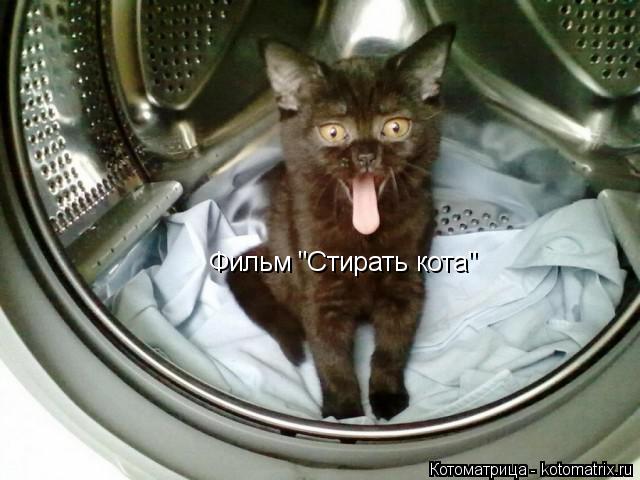 Котоматрица: Фильм "Стирать кота"