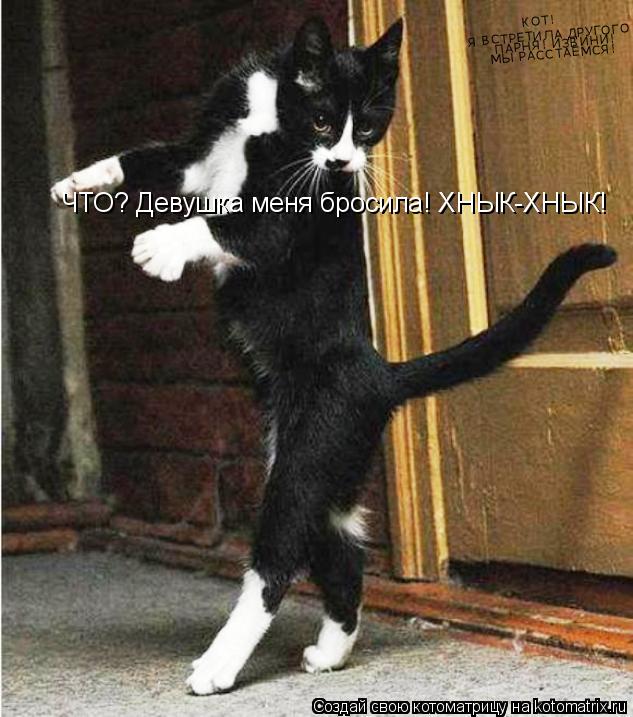 Котоматрица: КОТ! Я ВСТРЕТИЛА ДРУГОГО ПАРНЯ! ИЗВИНИ! МЫ РАССТАЁМСЯ! ЧТО? Девушка меня бросила! ХНЫК-ХНЫК!