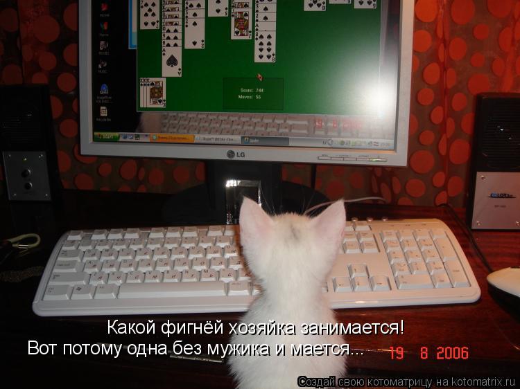 Какой фигнёй хозяйка занимается! Вот потому одна без мужика и мается...... Котоматрица: Какой фигнёй хозяйка занимается! Вот потому одна без мужика и мается...