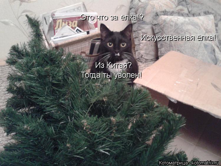 Котоматрица: Это что за ёлка!? Искусственная ёлка! Из Китая? Тогда ты уволен!