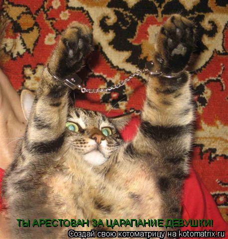 Котоматрица: ТЫ АРЕСТОВАН ЗА ЦАРАПАНИЕ ДЕВУШКИ!