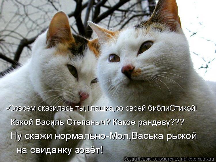 -Совсем сказилась ты,Глашка,со своей библиОтикой! Какой Василь Степаныч? Какое рандеву??? Ну скажи но... Котоматрица: -Совсем сказилась ты,Глашка,со своей библиОтикой! Какой Василь Степаныч? Какое рандеву??? Ну скажи нормально-Мол,Васька рыжой на свиданку зо
