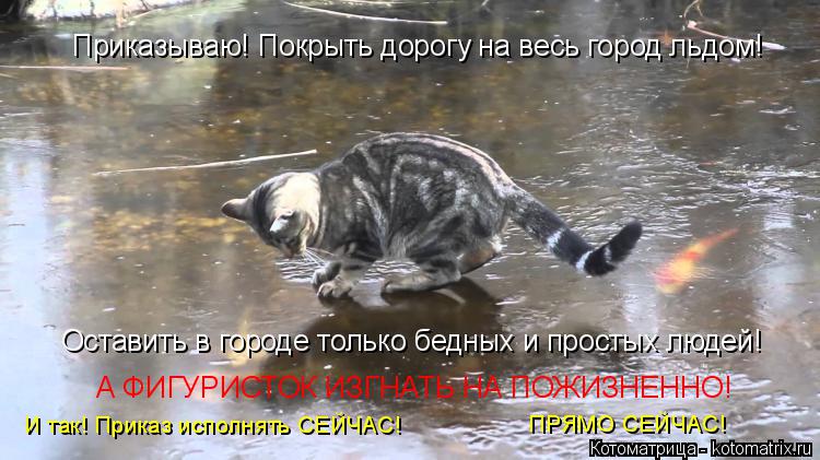 Котоматрица: Приказываю! Покрыть дорогу на весь город льдом! Оставить в городе только бедных и простых людей! А ФИГУРИСТОК ИЗГНАТЬ НА ПОЖИЗНЕННО! И так! П