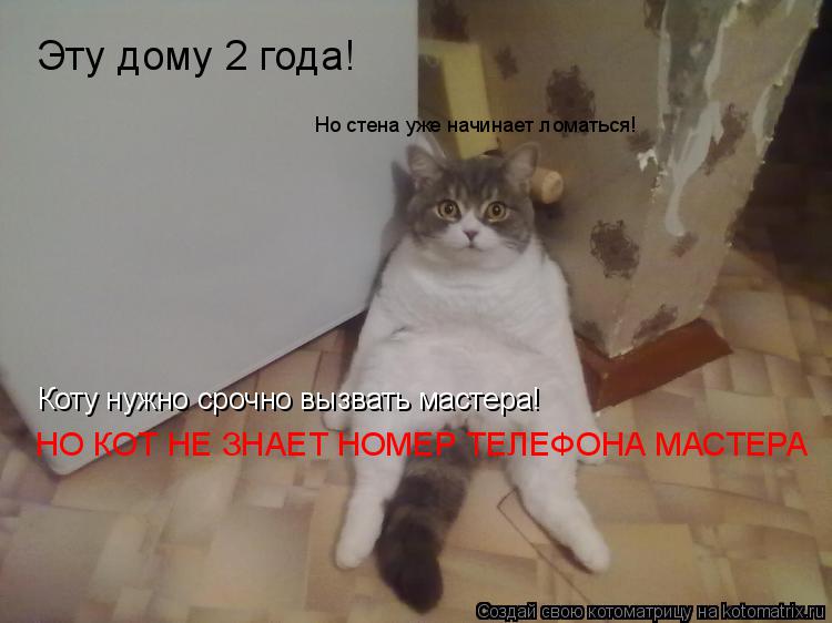 Котоматрица: Эту дому 2 года! Но стена уже начинает ломаться! Коту нужно срочно вызвать мастера! НО КОТ НЕ ЗНАЕТ НОМЕР ТЕЛЕФОНА МАСТЕРА