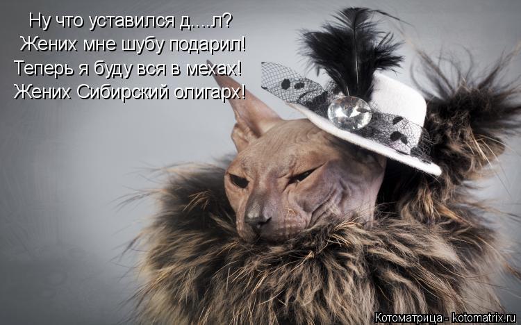 Ну что уставился д....л? Жених мне шубу подарил! Жених Сибирский олигарх! Теперь я буду вся в мехах!... Котоматрица: Ну что уставился д....л? Жених мне шубу подарил! Жених Сибирский олигарх! Теперь я буду вся в мехах!