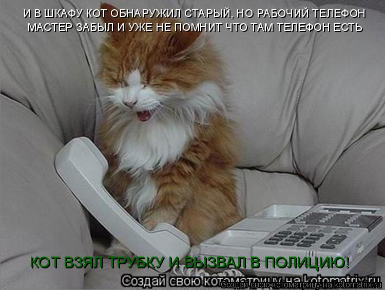 Котоматрица: И В ШКАФУ КОТ ОБНАРУЖИЛ СТАРЫЙ, НО РАБОЧИЙ ТЕЛЕФОН МАСТЕР ЗАБЫЛ И УЖЕ НЕ ПОМНИТ ЧТО ТАМ ТЕЛЕФОН ЕСТЬ КОТ ВЗЯЛ ТРУБКУ И ВЫЗВАЛ В ПОЛИЦИЮ!