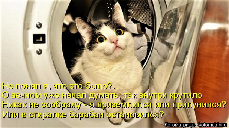Не понял я, что это было?.. О вечном уже начал думать, так внутри крутило Никак не соображу - я приз... Котоматрица: Не понял я, что это было?.. О вечном уже начал думать, так внутри крутило Никак не соображу - я приземлился или прилунился? Или в стиралке бара
