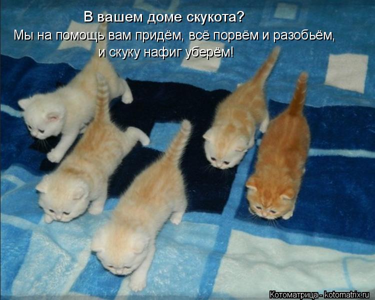 Мы на помощь вам придём, всё порвём и разобьём, и скуку нафиг уберём! В вашем доме скукота?... Котоматрица: Мы на помощь вам придём, всё порвём и разобьём, и скуку нафиг уберём! В вашем доме скукота?