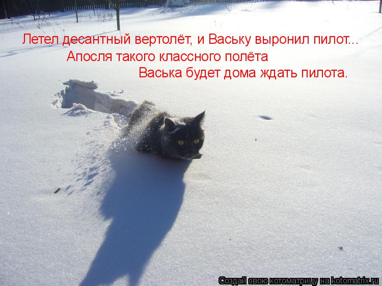 Летел десантный вертолёт, и Ваську выронил пилот... Васька будет дома ждать пилота. Апосля такого кла... Котоматрица: Летел десантный вертолёт, и Ваську выронил пилот... Васька будет дома ждать пилота. Апосля такого классного полёта